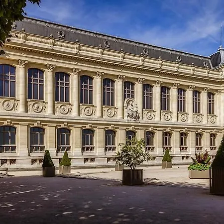 Studio Cosy Vue Sur Le Musee - 5 - 2p *